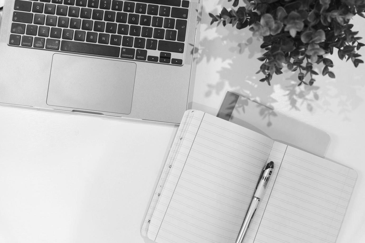 Équipe zovaxiluna en réunion de travail